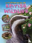 Owen, Ruth - Let's Explore Nature and British Wildlife