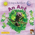 Owen, Ruth - An Ant