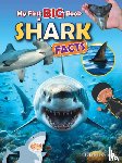 Gallagher, Belinda - My First BIG book of SHARK Facts