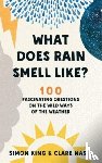 King, Simon, Nasir, Clare - What Does Rain Smell Like?