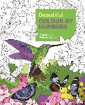 James, Felicity - Beautiful Colour by Numbers