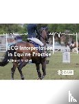 Mitchell, Katharyn (University of Zurich - ECG Interpretation in Equine Practice