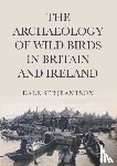 Serjeantson, Dale - The Archaeology of Wild Birds in Britain and Ireland