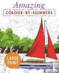 Arcturus Publishing Limited - Amazing Colour-by-Numbers Large Print