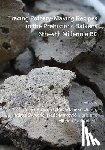  - Tracing Pottery-Making Recipes in the Prehistoric Balkans 6th–4th Millennia BC