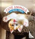 Chronicle Books - Cute Animals for Hard Times