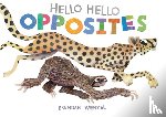  - Hello Hello Opposites
