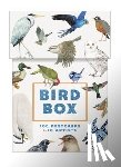 Princeton Architectural Press - Bird Box: 100 Postcards by 10 Artists