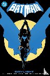 Fraction, Matt, Jimenez, Jorge - Batman Vol. 1: Daylight