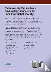  - Cybersecurity Capabilities in Developing Nations and Its Impact on Global Security