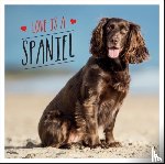 Ellis, Charlie - Love is a Spaniel
