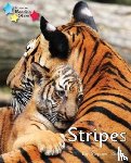  - Stripes