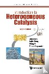 Prins, Roel (Eth Zurich, Wang, Anjie (Dalian Univ Of Technology, Li, Xiang (Tianjin Univ Of Science And Technology, Sapountzi, Foteini (Syngaschem Bv - Introduction To Heterogeneous Catalysis