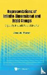Kosyak, Alexander (National Academy Of Sciences Of Ukraine - Representations Of Infinite-dimensional And Braid Groups: Ergodicity, Irreducibility, And Linearity