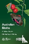  - Australian Moths