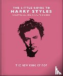 Orange Hippo! - The Little Guide to Harry Styles - The New King of Pop