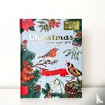 Royal Botanic Gardens Kew PLG - Welcome to the Museum: A Christmas Pop-Up Advent Calendar