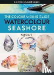 Collins, Julie - The Colour Mixing Guide: Watercolour Seashore