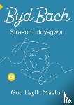 Maelor, Esyllt - Cyfres Amdani: Byd Bach