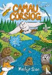 Sion, Meilyr - Camau Corsiog