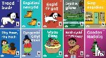 Evans, Mena - Llyfrau Hwyl Magi Ann – Cam 4 Llyfrau Dicw