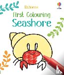 Nolan, Kate - First Colouring Seashore
