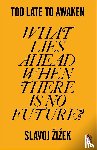Zizek, Slavoj - Too Late to Awaken