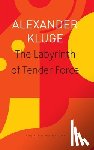 Kluge, Alexander, Hoban, Wieland - The Labyrinth of Tender Force – 166 Love Stories