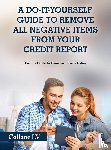 Collane LV - A Do-It-Yourself Guide To Remove All Negative Items From Your Credit Report