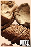 Alec Richter - The Art of Bread Baking