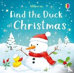 Nolan, Kate - Find the Duck at Christmas