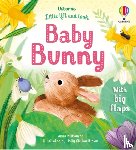Milbourne, Anna - Little Lift and Look Baby Bunny