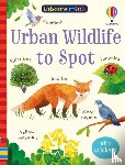 Nolan, Kate - Urban Wildlife to Spot