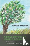 Brodet, David - A Brief History of Israel’s Economy