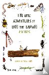 Evans, Andy - The Little Adventures of Erig the Earwig