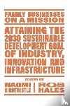  - Attaining the 2030 Sustainable Development Goal of Industry, Innovation and Infrastructure