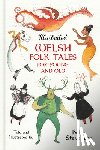 Stevenson, Peter - Illustrated Welsh Folk Tales for Young and Old