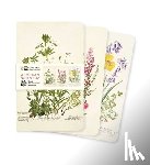 Flame Tree Studio - Royal Botanic Garden Edinburgh Set of 3 Mini Notebooks