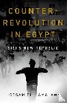 el-Hamalawy, Hossam - Counterrevolution in Egypt