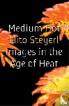 Steyerl, Hito - Medium Hot