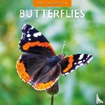 Red Robin - Butterflies 2025 Square Wall Calendar