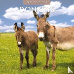 Red Robin - Donkeys 2025 Square Wall Calendar