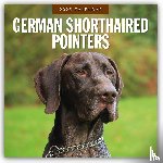 Red Robin - German Shorthaired Pointers 2025 Square Wall Calendar