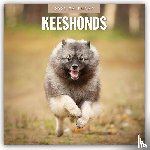 Red Robin - Keeshonds 2025 Square Wall Calendar
