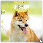 Red Robin - Shiba Inu 2025 Square Wall Calendar