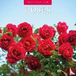 Red Robin - Roses 2025 Square Wall Calendar