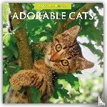 Red, Robin - Adorable Cats - Liebenswerte Katzen 2026 - 16-Monatskalender