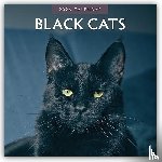 Red Robin - Black Cats 2026 Square Wall Calendar