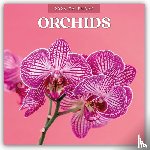 Red Robin - Orchids 2026 Square Wall Calendar