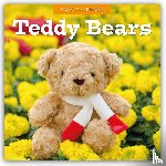 Red Robin - Teddy Bears 2026 Square Wall Calendar